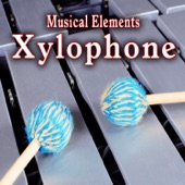 Xylophone Plays a Time Passing Accent artwork