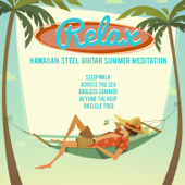 Relax, Hawaiian Steel Guitar Summer Meditation: Sleepwalk, Across the Sea, Endless Summer, Beyond the Reef, Ukulele Tree - Vários intérpretes