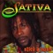 Stick a Bush - Sativa lyrics