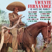 Vicente Fernández - Escuche Las Golondrinas (Album Version)