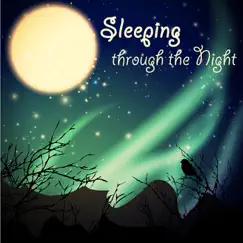 Baby Sleep through Night Song Lyrics