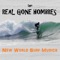 Surfing Zopilote - Real Gone Hombres lyrics