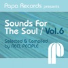 Papa Records Presents Sounds for the Soul, Vol. 6 (Selected and Compiled by Reel People), 2009