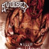 Nullo (The Pleasure of Self-Mutilation)