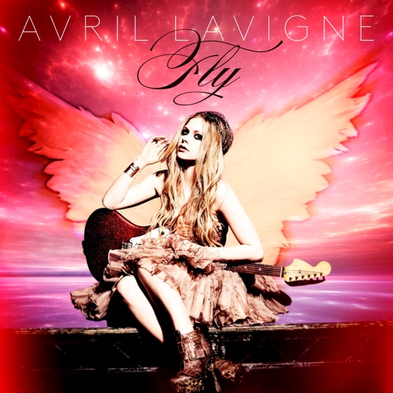 Cover artwork for Fly