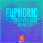 Euphoric Progressive House, Vol. 01 artwork