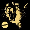 Wildcat - Ratatat