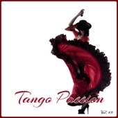Tango Passion, Vol. 15 artwork