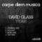 Yeah (Jaceo Remix) - David Glass lyrics