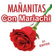 Mañanitas con Mariachi artwork