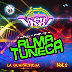 Marimba Orquesta Alma Tuneca - La Cumbia del Ay Ay Ay