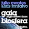 Gaia (Jan van Lier Remix) - Julio Montes & Luis Fontalvo lyrics