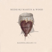 Medeski, Martin & Wood - Baby, Let Me Follow You Down