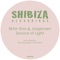 Source of Light (Ricardo Espino & DJ Ferry Remix) - Ektor Eros & Jorgensen lyrics