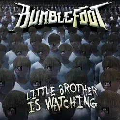 Little Brother Is Watching - Bumblefoot