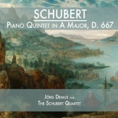 Piano Quintet in A Major, D. 667: I. Allegro vivace artwork
