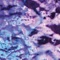 Everlastic - Cupp Cave lyrics