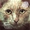 D.L.A.S.S. (Nathan Barato Remix) - Ramiro Lopez lyrics