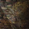 Vieo Abiungo - Small Bird with Fast Hearts (feat. William Ryan Fritch)