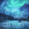 Aurora, 2014