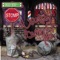 Anyone Can See - Dressy Bessy lyrics