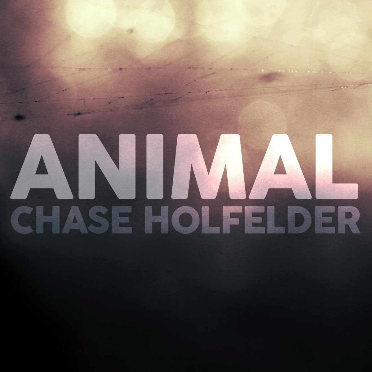 Chase animals