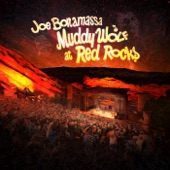 Muddy Wolf at Red Rocks (Live) artwork