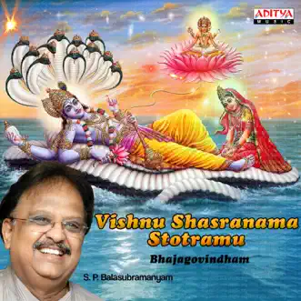 Vishnu Shasranama Stotramu - Bhajgovindham by S.P. Balasubrahmanyam album reviews, ratings, credits