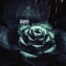 Anzoo - Gai Barone lyrics