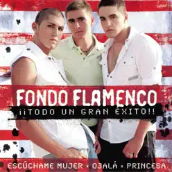 Todo un Gran Éxito - Fondo Flamenco