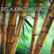 Chillax - Relaxing Music Orchestra lyrics