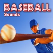 General Professional Baseball Game Crowd Ambience artwork