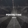 Pentru Tine - Single