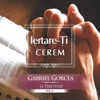 Gabriel Gorcea, Vol. 11 (Lertare-Ti Cerem)