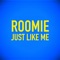 Just Like Me - Roomie lyrics