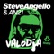 Valodja - Steve Angello & AN21 lyrics