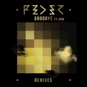 Goodbye (feat. Lyse) [Hugel Remix] artwork