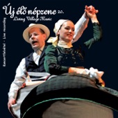 Új Élő Népzene, Vol. 20 (Live) artwork