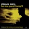 Little Bit of Rain - Étienne Daho lyrics