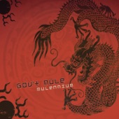 Gov't Mule - Power of Soul (feat. Audley Freed)