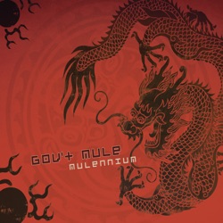 Gov't Mule - Sometimes Salvation (feat. Audley Freed)