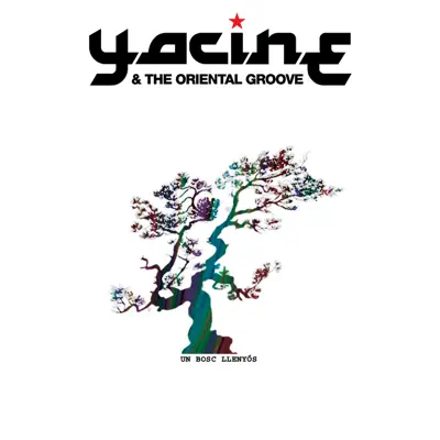 Un Bosc Llenyós - Single - Yacine & The Oriental Groove