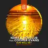 Sun Will Set (feat. Cooper Evans) - Single album lyrics, reviews, download