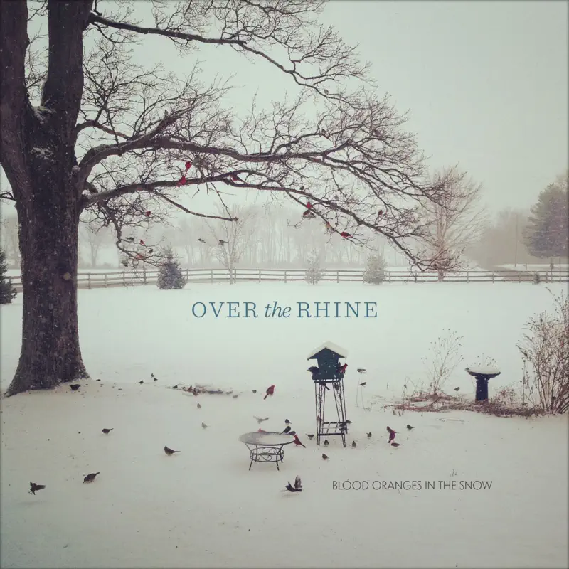 Over the Rhine - Blood Oranges in the Snow (2014) [iTunes Plus AAC M4A]-新房子