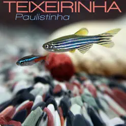 Paulistinha - Single - Teixeirinha Paulistinha - Single - Teixeirinha