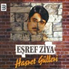 Hasret Gülleri