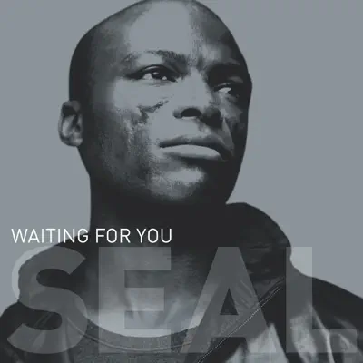 Waiting for You - Seal