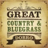 Great Country & Bluegrass Dobro, 2015