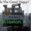 Is the Camel Happy? album lyrics, reviews, download