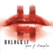 Dragostea Mea - Holograf lyrics